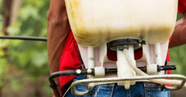 agrotóxios agricultura