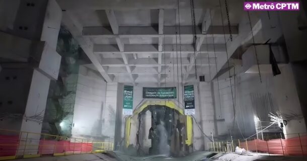 maior 'tatuzão' da América do Sul