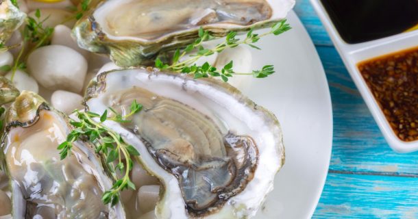 glitter e microplástico ostras SC