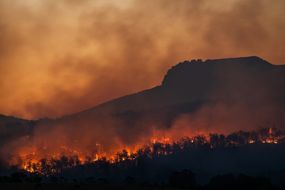 Como as queimadas florestais impactam a natureza e a saúde humana? queimadas florestais