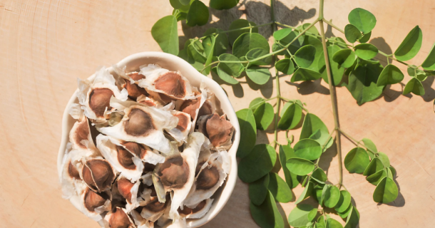 coagulantes naturais