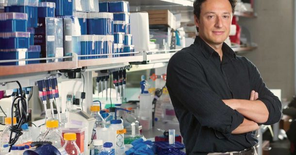 cientista brasileiro Alysson Muotri