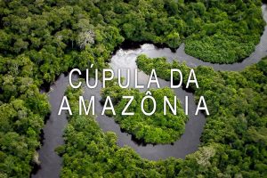 estudo da Amazônia