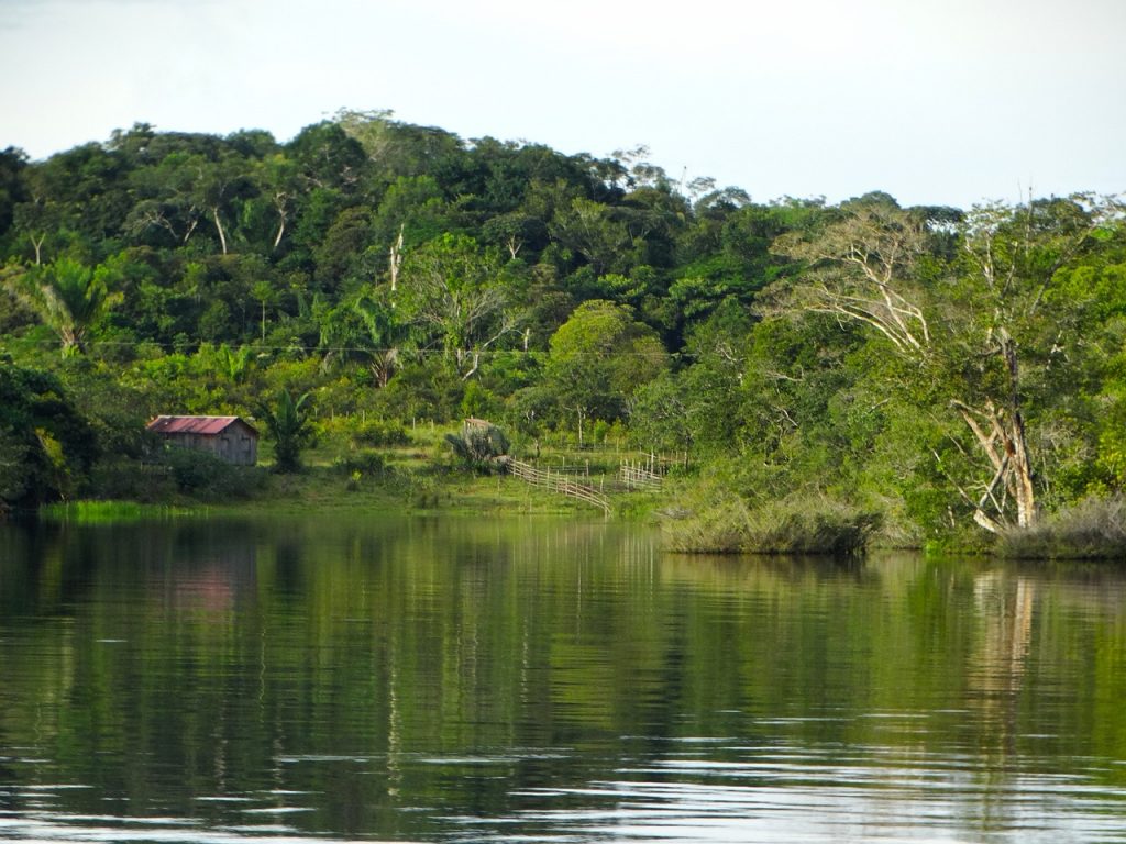 estudo da Amazônia