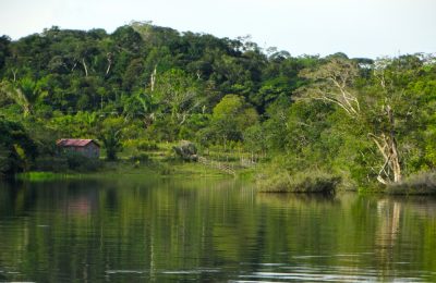 estudo da Amazônia