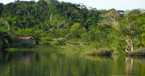 estudo da Amazônia