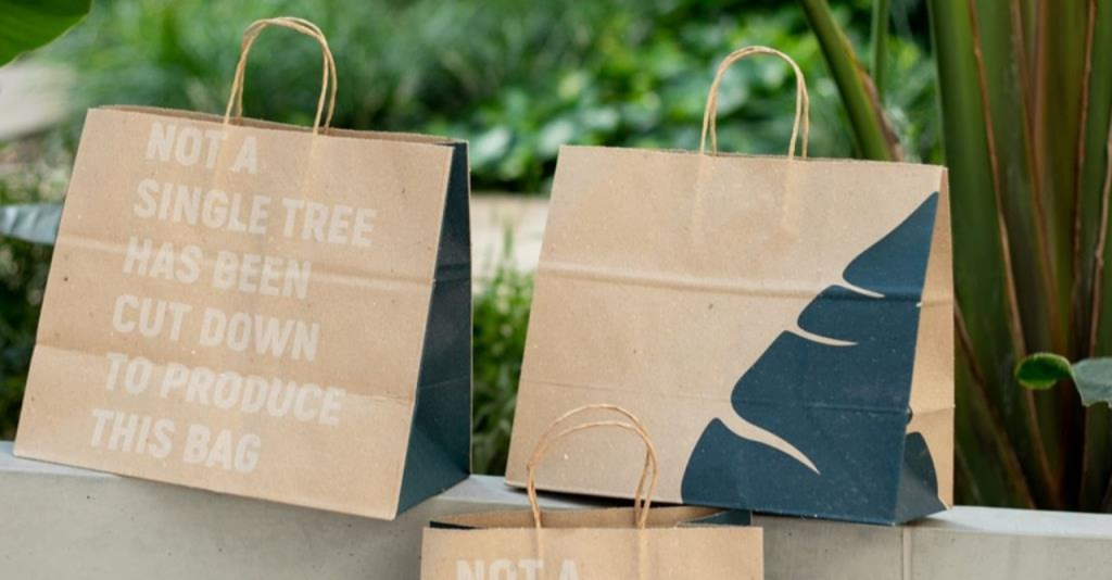 Papel Releaf Feito a Partir de Folhas Caídas