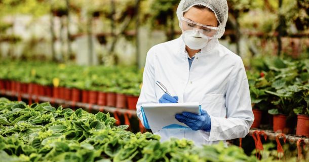 Food Tech Sustentável na América Latina