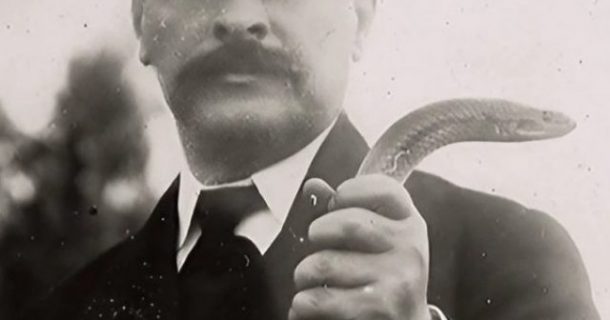 Descobertas Científicas Brasileiras