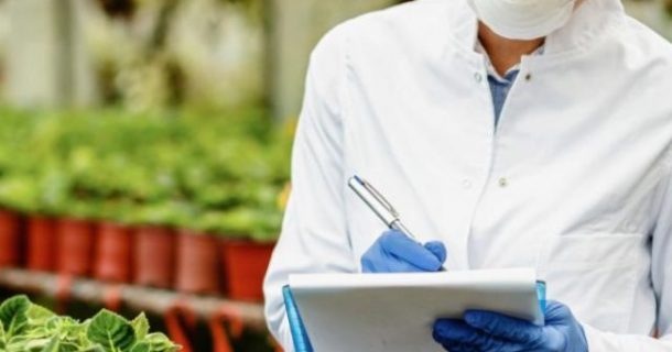 Food Tech Sustentável na América Latina