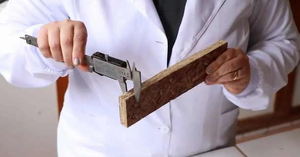 mamona e bambu na construção civil