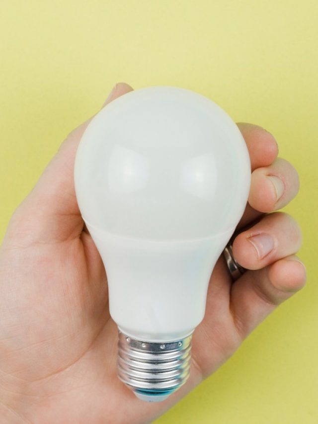 Conheça os principais tipos de lâmpadas para casa