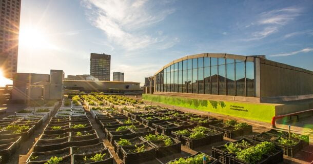 Projeto de Shopping em São Paulo é exemplo de sustentabilidade e combate às ilhas de calor telhados verdes e ilhas de calor