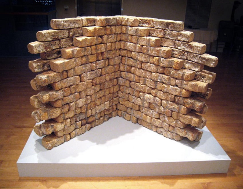 Engenharia vê uso de cogumelos como alternativa sustentável ao concreto cogumelos alternativa ao concreto