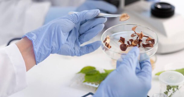 Bioprocessos para Produção Sustentável de Alimentos e Bebidas