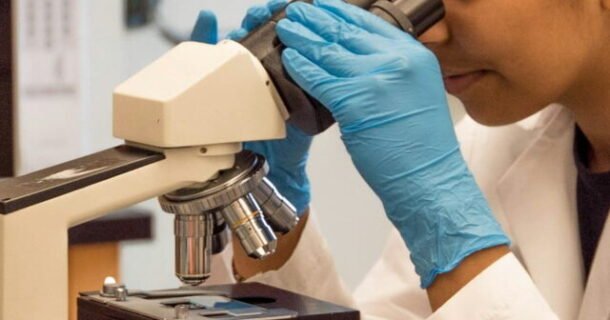 cientistas brasileiros