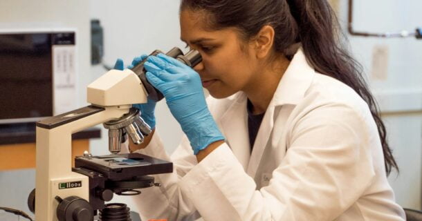 cientistas brasileiros