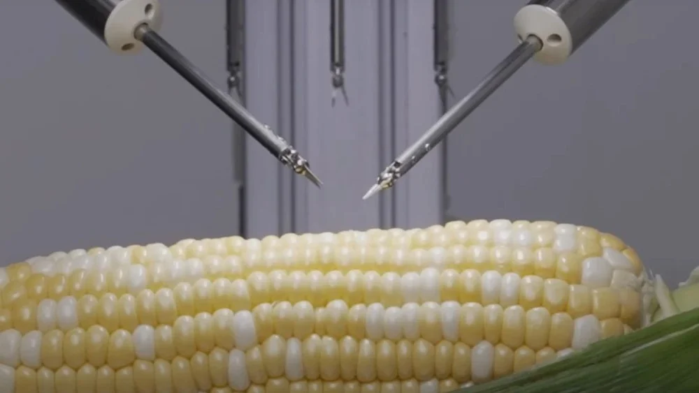 Robô da Sony Costura Grão de Milho em Microcirurgia
