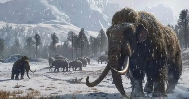 Espécies Extintas - engenharia genética