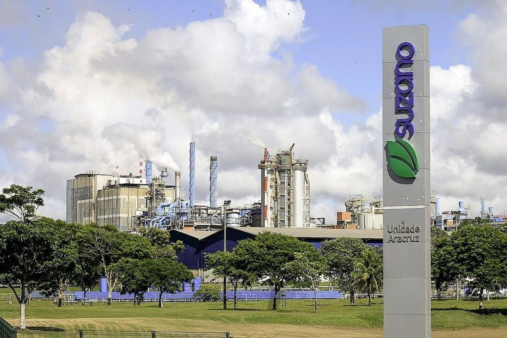 Fabricantes de papel investem em fibras sustentáveis e entram no mercado têxtil com celulose celulose