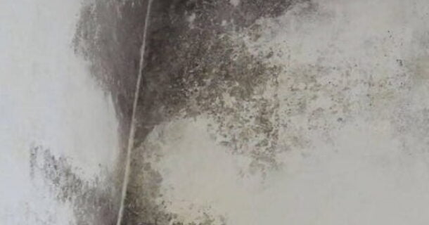 tipos de infiltração