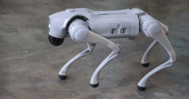 cão robô