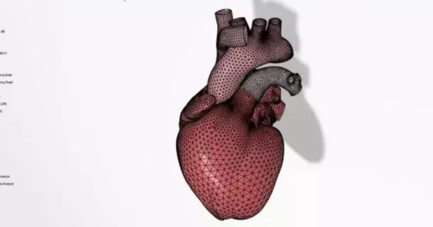 Projeto Living Heart