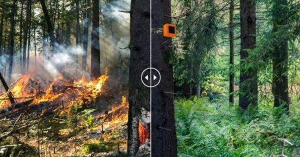 dispositivo ForestGuard 2.0 que detecta incêndios florestais