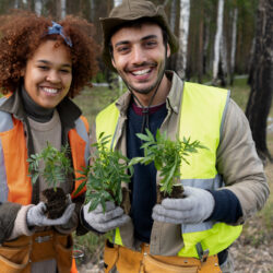 Qual a demanda para quem trabalha com Engenharia Florestal? engenheiros florestais