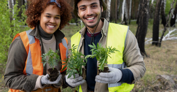 engenheiros florestais