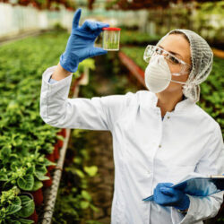 Engenharia Química ou Engenharia Ambiental: qual faculdade escolher? Engenharia Quimica ou Engenharia Ambiental