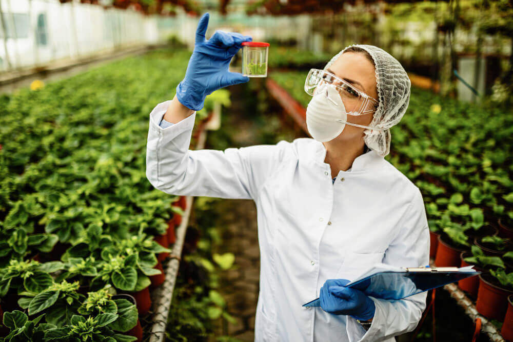Engenharia Química ou Engenharia Ambiental: qual faculdade escolher? Engenharia Quimica ou Engenharia Ambiental