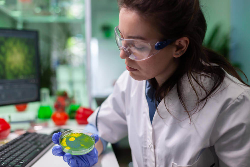 Engenharia Química ou Engenharia Ambiental: qual faculdade escolher? Engenharia Quimica ou Engenharia Ambiental