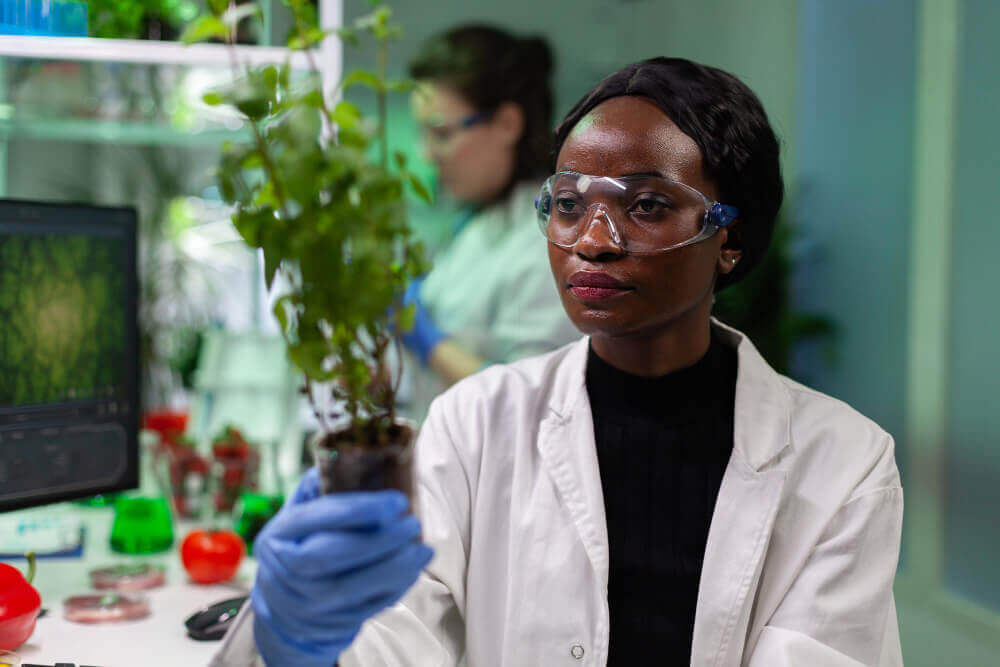 Engenharia Química ou Engenharia Ambiental: qual faculdade escolher? Engenharia Quimica ou Engenharia Ambiental