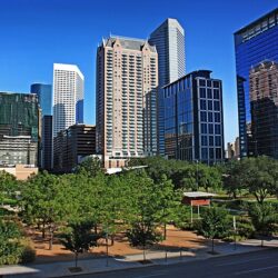 engenharia de houton