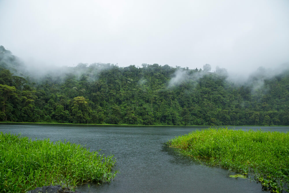 Estudo revela que Amazônia gera chuva bilionária e sustenta agro e economia do Brasil chuvas amazônia rios voadores