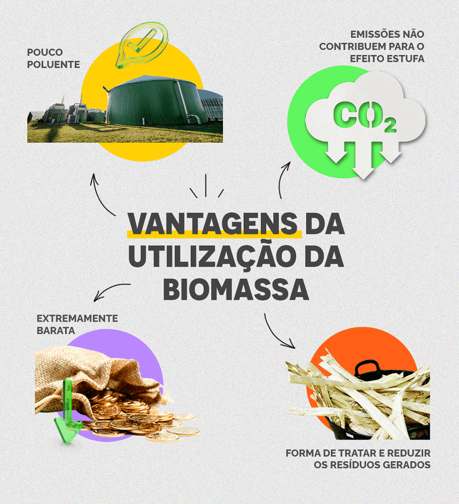 Nova ferramenta de mapeamento de biomassa pode revolucionar a engenharia e acelerar a descarbonização Ferramenta de Mapeamento de Resíduos de Biomassa