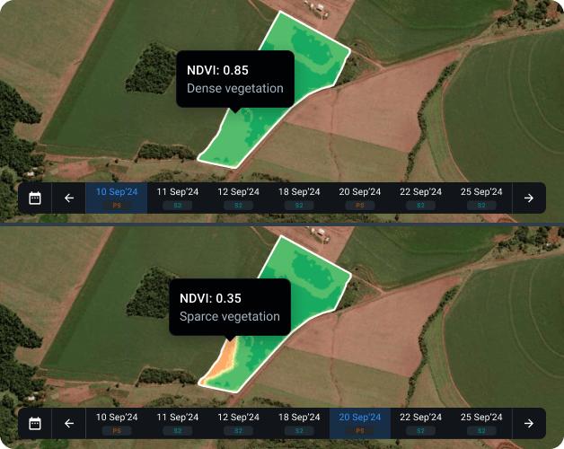 Usando dados de um catálogo de imagens de satélite para a análise agrícola Usando dados de um catálogo de imagens de satélite para a análise agrícola