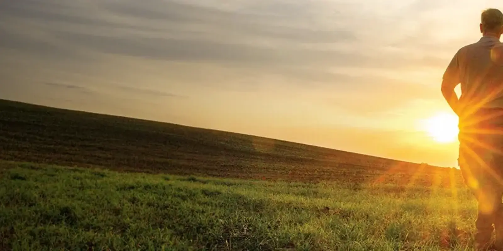 John Deere transforma dados da fazenda em conversa com novo assistente de IA Produtor observando uma lavoura ao pôr do sol
