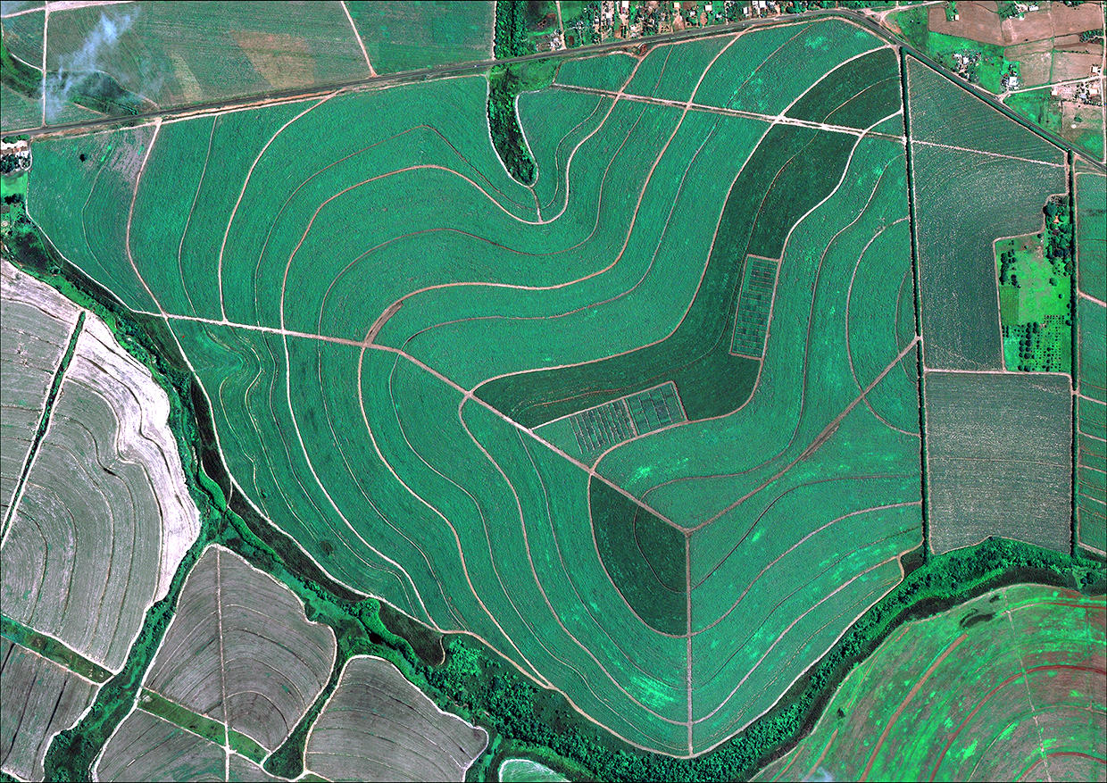 Imagem gerada por satélite de um campo agrícola - Startup fundada por brasileiro cria nanosatélite que promete soluções para a agricultura